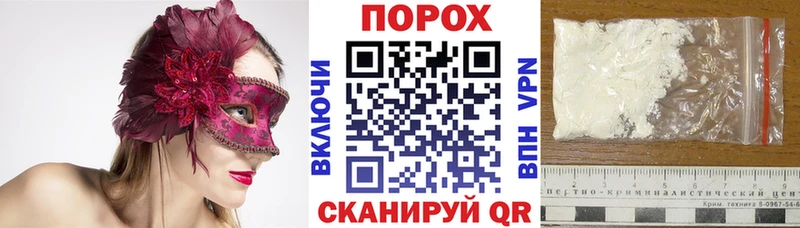 блэк спрут как войти Чаплыгин АМФ Premium