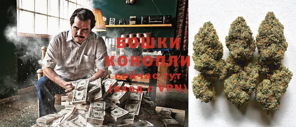 PSILOCYBIN Лиски