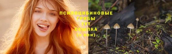 ешки Алзамай