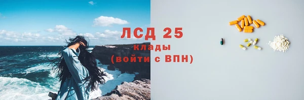 соль ск Алексин