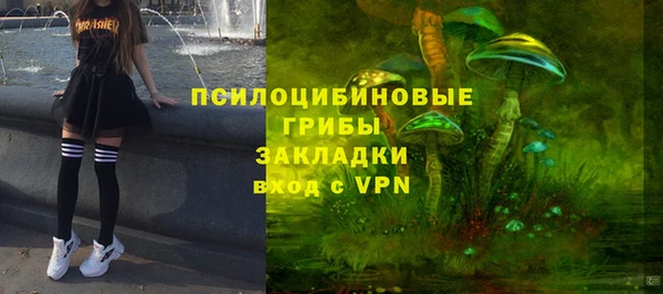 соль ск Алексин