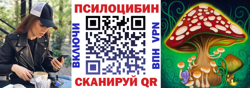 Галлюциногенные грибы Psilocybe  Чаплыгин 